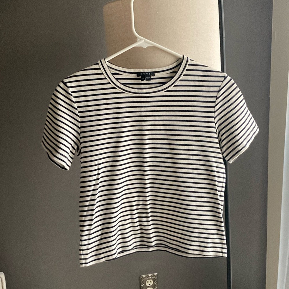 Theory Crop Top